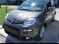 FIAT PANDA 1.0 FireFly S&S Hybrid - Bluetooth/5Posti