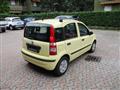 FIAT PANDA 1.2 Dynamic *OK NEOPATENTATI