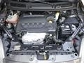 FIAT BRAVO 1.6 MJT 105 CV DPF Pop