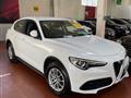 ALFA ROMEO STELVIO 2.2 Turbodiesel 190 CV AT8 Q4 Business