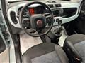 FIAT PANDA 3ª serie -  1.0 FireFly S&S Hybrid Launch Editio