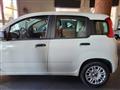 FIAT Panda 1.3 mjt 16v Lounge s&s 95cv