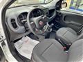 FIAT PANDA 1.0 FireFly S&S Hybrid - KM0