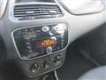 FIAT PUNTO 1.2 8V 5 porte Street Uniprò km 95000 Neopatentati