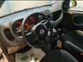 FIAT PANDA 1.0 firefly hybrid 70cv 5 posti