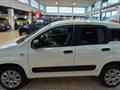 FIAT PANDA VAN 0.9 TwinAir Turbo S&S 4x4 Pop Van 2 posti