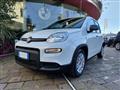 FIAT PANDA 1.0 70CV FireFly S&S Hybrid #VARI COLORI