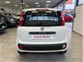 FIAT PANDA 1.2 69CV *UNICO PROP.*TAGLIANDI*OK NEOPATENTATI*