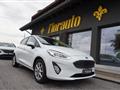 FORD FIESTA 1.1 75 CV 5 porte Titanium