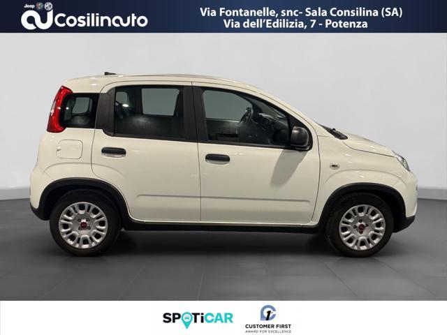 FIAT PANDA 1.0 FireFly S&S Hybrid City Life MY23