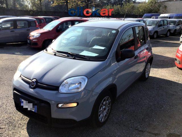 FIAT PANDA 1.0 FireFly Hybrid OK NEOPATENTATI