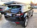 LAND ROVER RANGE ROVER EVOQUE 5p 2.0 td4 Pure Bus/edition Prem150cv Auto FP675PY