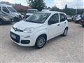 FIAT PANDA 1.3 MJT S&S Lounge