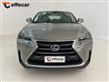 LEXUS NX Hybrid 4WD Icon