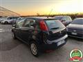 FIAT PUNTO 1.2 8V 5 porte Street OK NEO PATENTATI