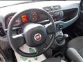 FIAT PANDA 1.0 firefly hybrid 70cv 5 posti