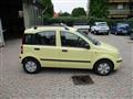 FIAT PANDA 1.2 Dynamic *OK NEOPATENTATI