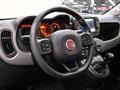 FIAT PANDA CROSS Panda Cross 1.0 FireFly S&S Hybrid