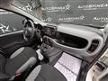 FIAT PANDA CROSS Panda Cross 1.0 FireFly S&S Hybrid