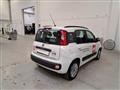 FIAT PANDA 1.2 Lounge ADATTA A NEOPATENTATI