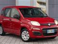 FIAT PANDA 1.2 Pop