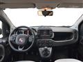 FIAT PANDA III 2021 1.0 firefly hybrid Cross s&s 70cv