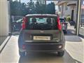 FIAT PANDA 1.0 FireFly S&S Hybrid da ?119,00 mensili