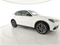 ALFA ROMEO STELVIO 2.2 Turbodiesel 210 CV AT8 Q4 Veloce