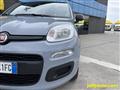 FIAT PANDA 1.0 FireFly S&S Hybrid - OK NEOPATENTATI