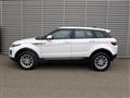 LAND ROVER RANGE ROVER EVOQUE Range Rover Evoque 2.0 TD4 150 CV 5p. Pure