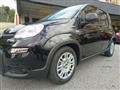 FIAT PANDA 1.0 Pandina Hybrid NUOVA - INCENTIVI EURO 0-1-2-3