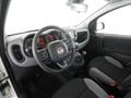 FIAT PANDA 0.9 TwinAir Turbo S&S 4x4 Wild