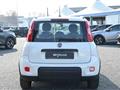 FIAT PANDA 1.0 FireFly S&S Hybrid City Cross