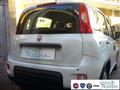 FIAT PANDA 1.0 FireFly S&S Hybrid Pandina Urban Km 0