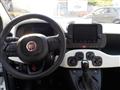 FIAT PANDA CROSS NEW - 1.0 FireFly Hybrid PANDINA