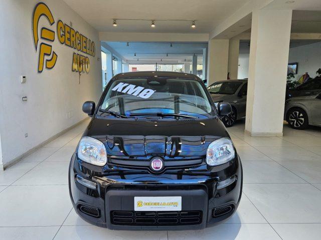 FIAT PANDA 1.0 FireFly S&S Hybrid Pandina da ?149,00 mensili