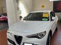 ALFA ROMEO STELVIO 2.2 Turbodiesel 190 CV AT8 Q4 Business