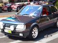 PEUGEOT 205 1.9 Gti 130cv