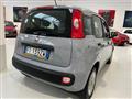 FIAT PANDA 1.2 Easy con promo "PANERO PLUS"