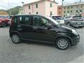 FIAT PANDA 1.0 Pandina Hybrid NUOVA - INCENTIVI EURO 0-1-2-3