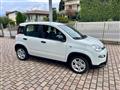 FIAT PANDA 1.0 FireFly S&S Hybrid - KM0