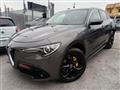 ALFA ROMEO STELVIO 2.2 Turbodiesel 190 CV AT8 Q4 Executive