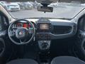 FIAT PANDA CROSS Panda Cross 1.0 FireFly S&S Hybrid