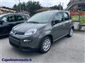 FIAT PANDA 1.0 FireFly Hybrid CityLife KM0+PACK CITY LIGHT+5P