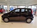 FIAT PANDA 1.0 FireFly S&S Hybrid Pandina