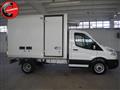 FORD TRANSIT 350 2.0TDCi 130CV PL-SL Cab.Trend CELLA FRIFO