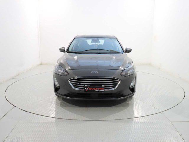 FORD FOCUS 1.5 EcoBlue 120 CV automatico 5p. Business Co-Pil