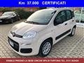 FIAT PANDA 1.2 benzina 69cv. Easy,Km 37.000 OK NEOPATENTATI