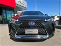 LEXUS UX Hybrid Executive CVT KM CERTIFICATI - IVA ESPOSTA