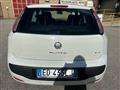 FIAT PUNTO 1.3 Mjt 75 CV Neopatentati DPF 3 porte S&S Active